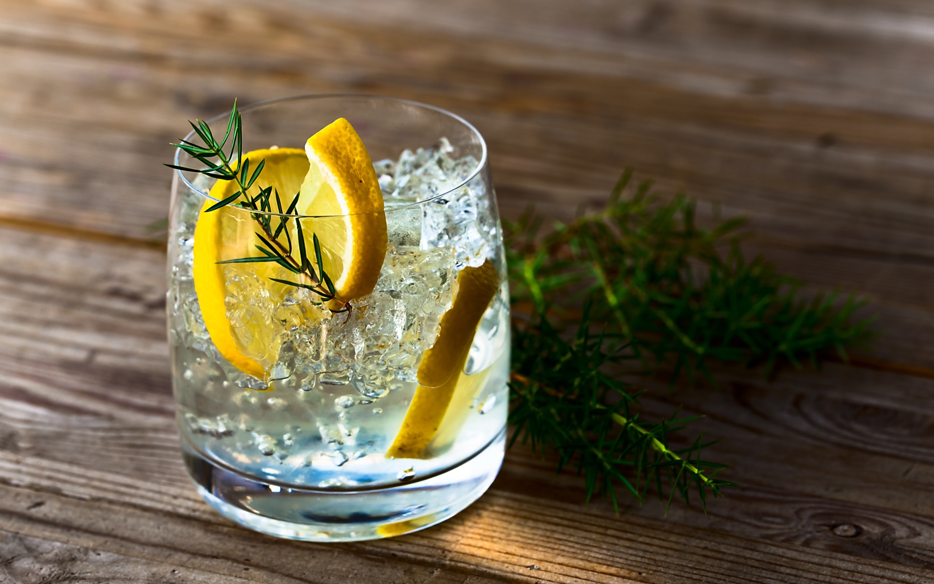 Gin Verkostung köstlicher Wacholder Schnaps Rahmenprogramme