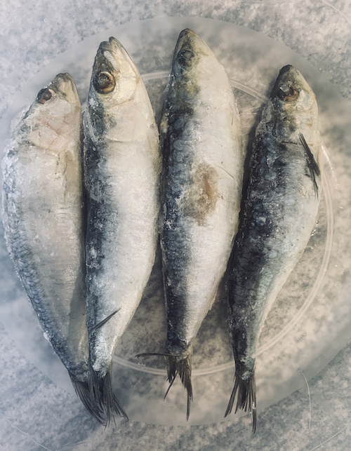 Sardines Whole Premium Raw Pet Food by Rah Raw