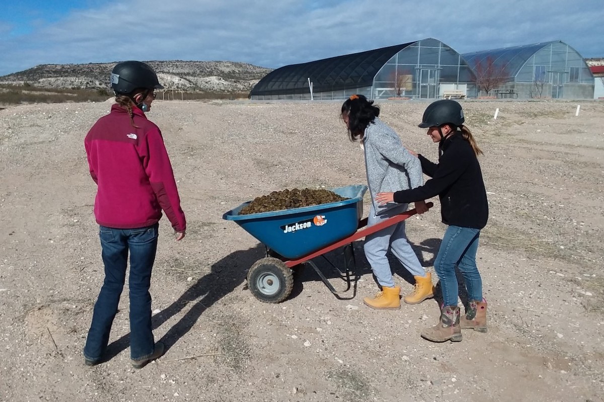 Job Skills Courses Rainbow Acres