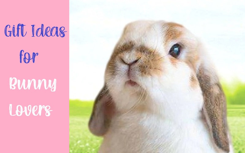 The Best Affordable Rabbit Gifts for A Bunny Lover Rainbow Cabin