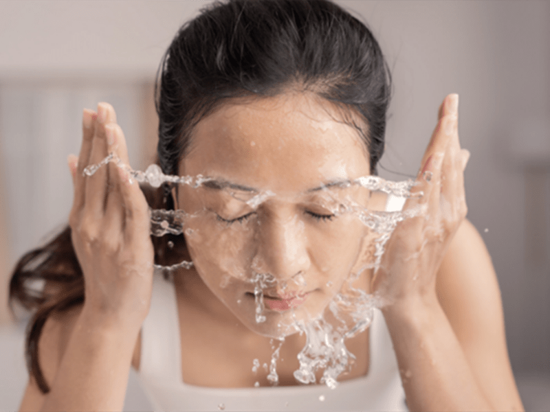 Is Sophora Japonica Extract Good For Skin? Rainbow Biotech