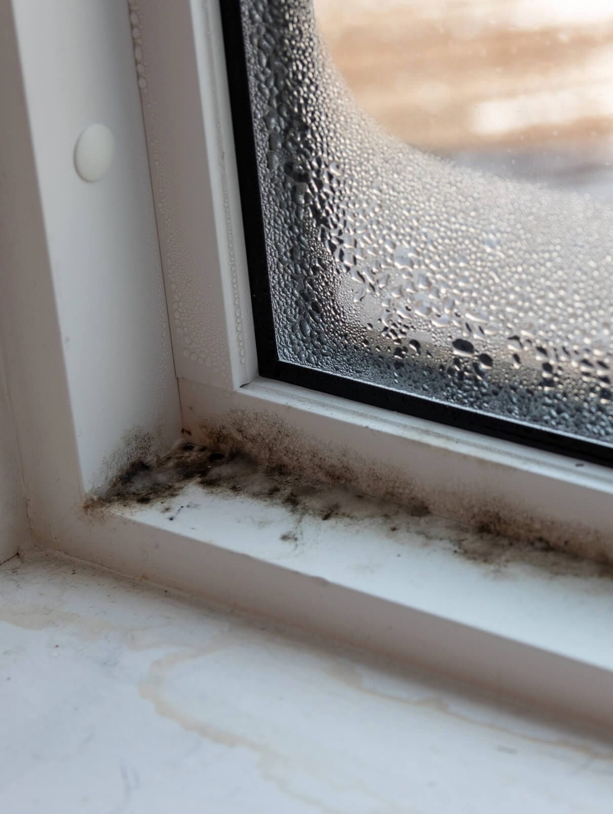 Mold Removal Rainbow Restoration Fargo, ND