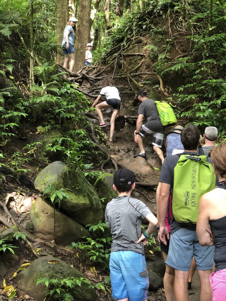 Rainbow Kayak Tours Wailua River Kayak & Waterfall Hike in Kauai, Hawaii