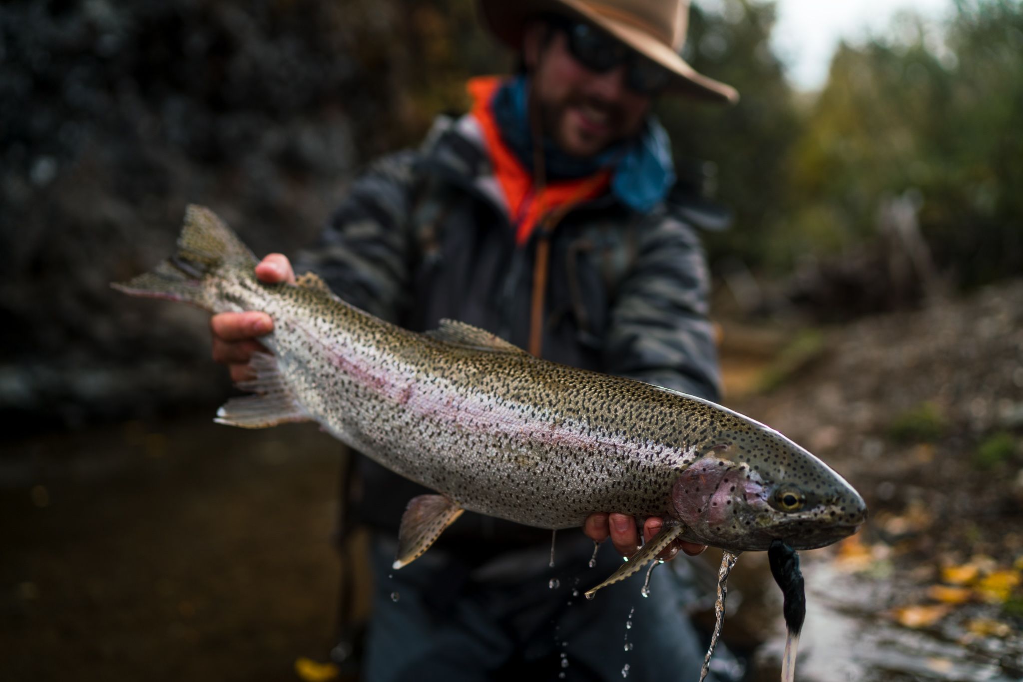 Rainbow Trout Fishing in Alaska Iliamna River Lodge