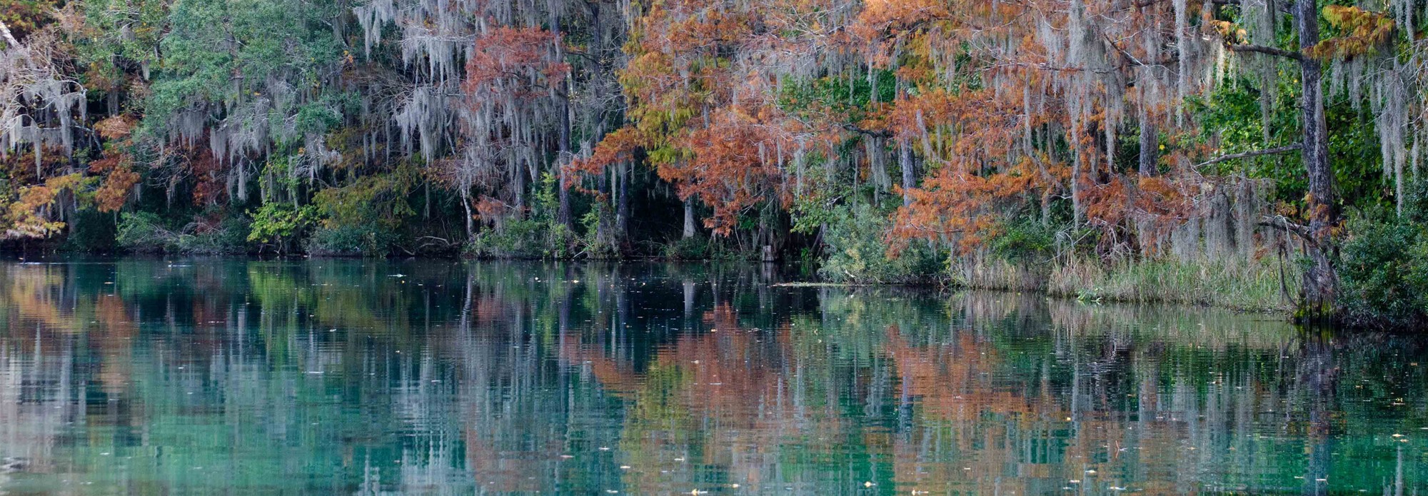 The Rainbow Rivers Club
