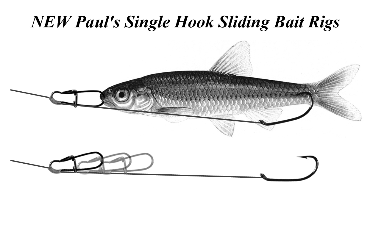 Paul's Bait Rigs & TackleBait Rigs