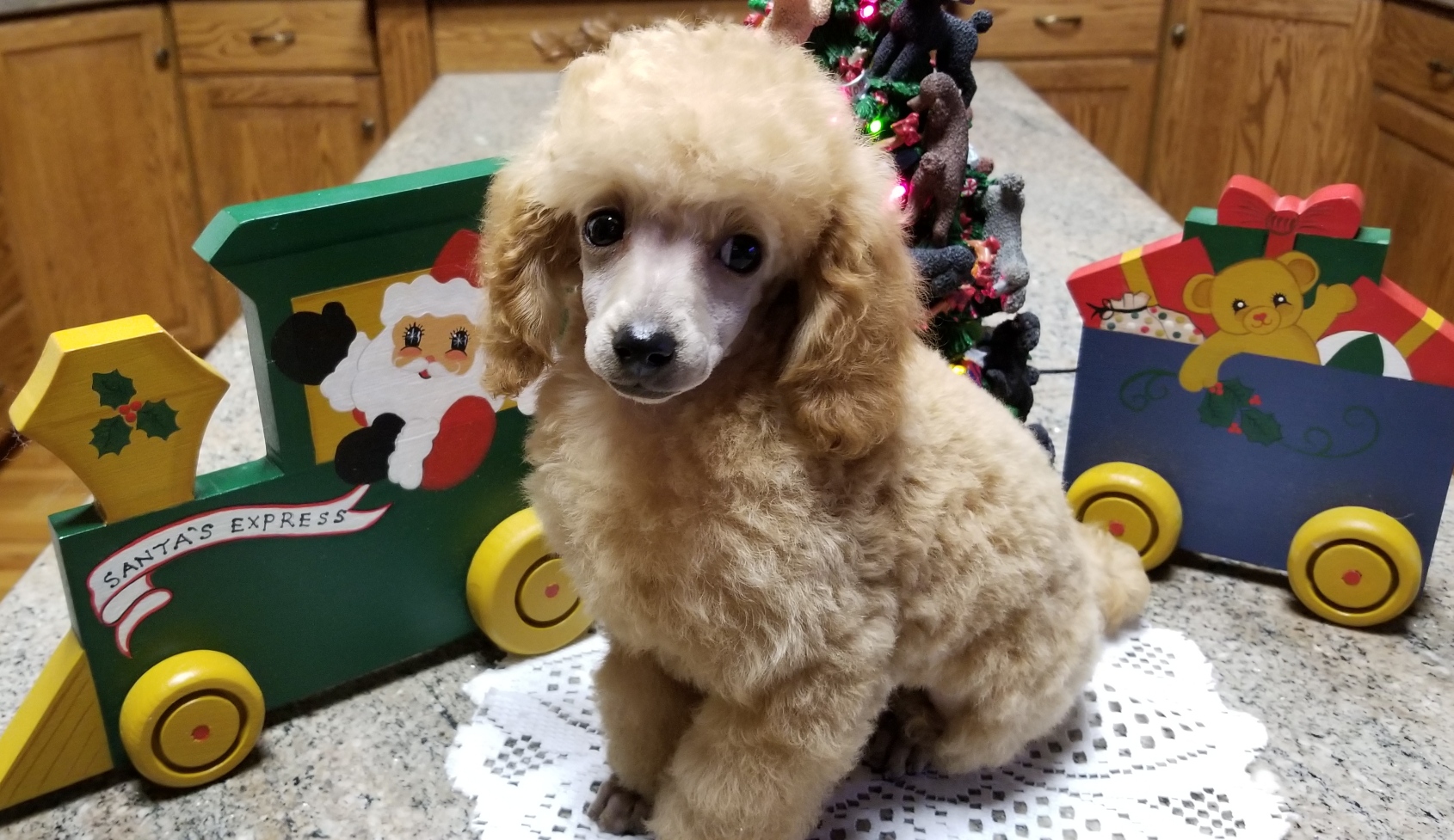 Finley 4