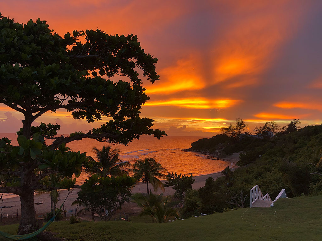 Home Rainbow Tree Villa A Private Beachfront Villa in Jamaica