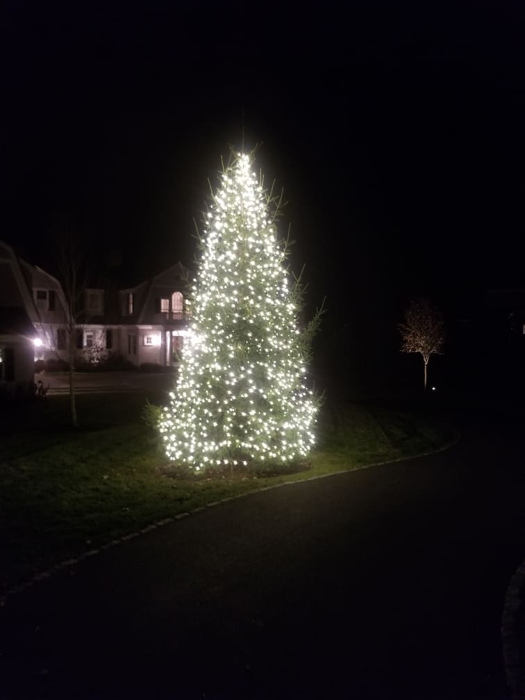 Holiday Lighting Rainfall Irrigation & Outdoor Lighting