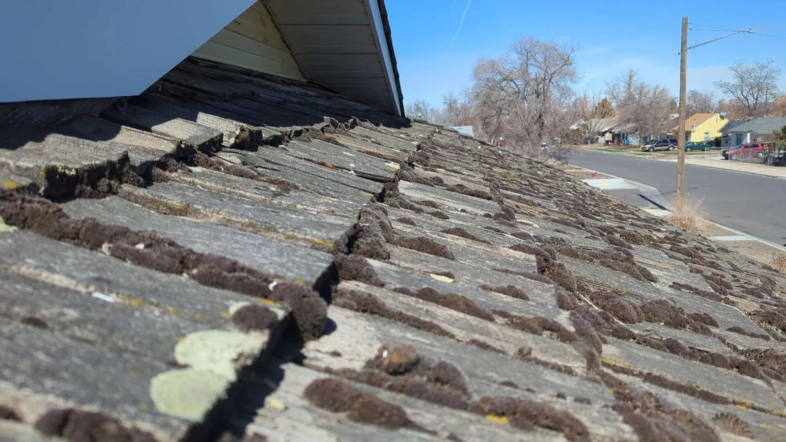 Signs It's Time for a New Roof What to Look Out For Rainguard Roofing