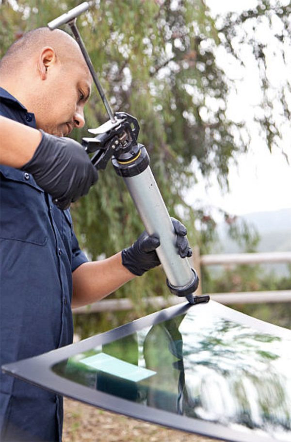 Home Rainier Auto Glass