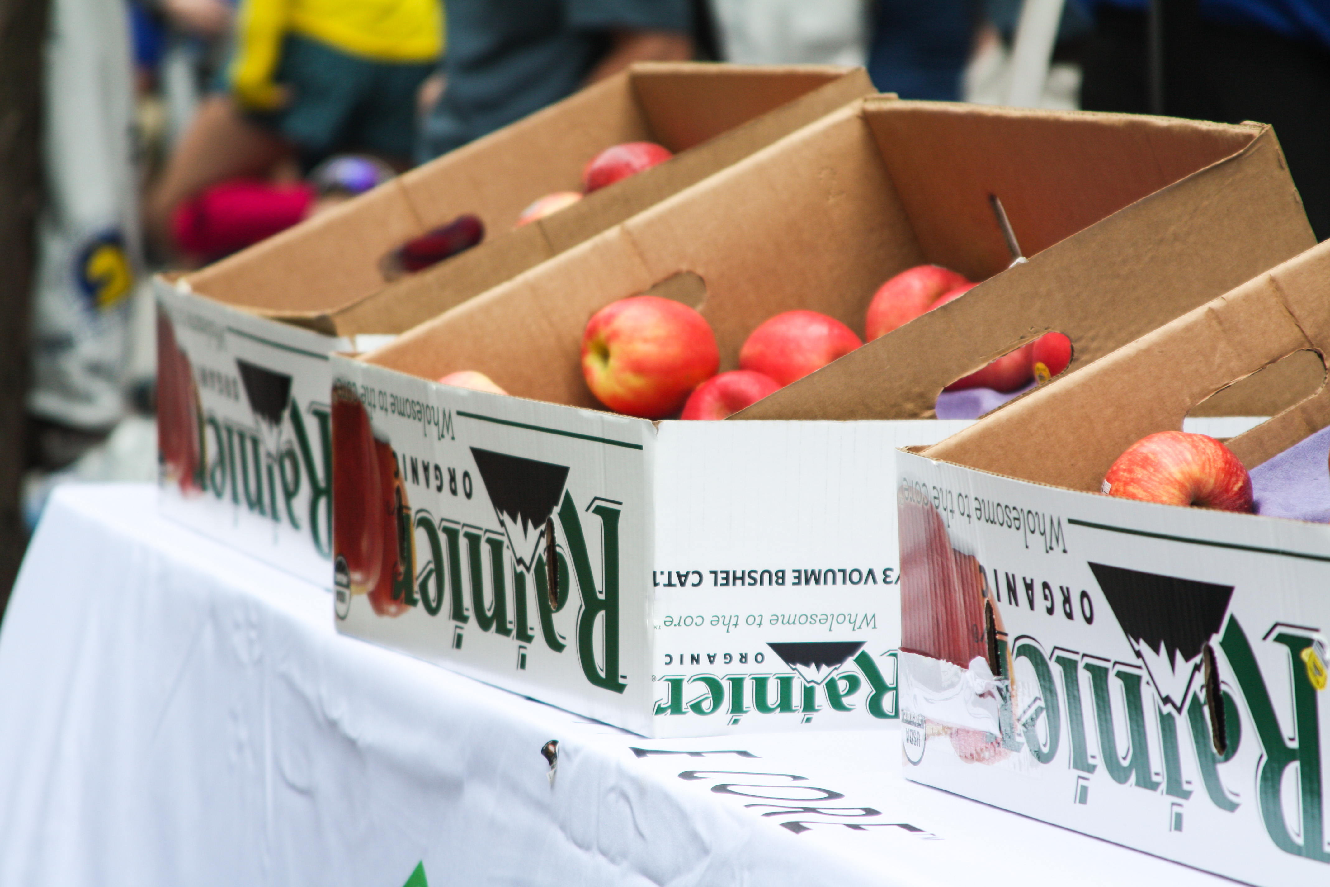 Rainier Fruit Reflections Of The Boston Marathon Rainier Fruit