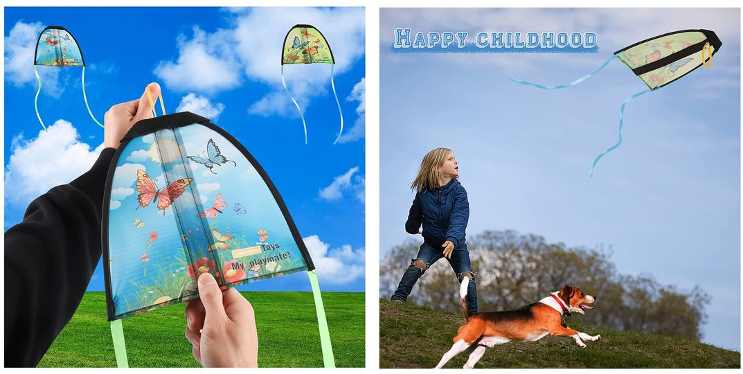 Slingshot kite Raining Deals