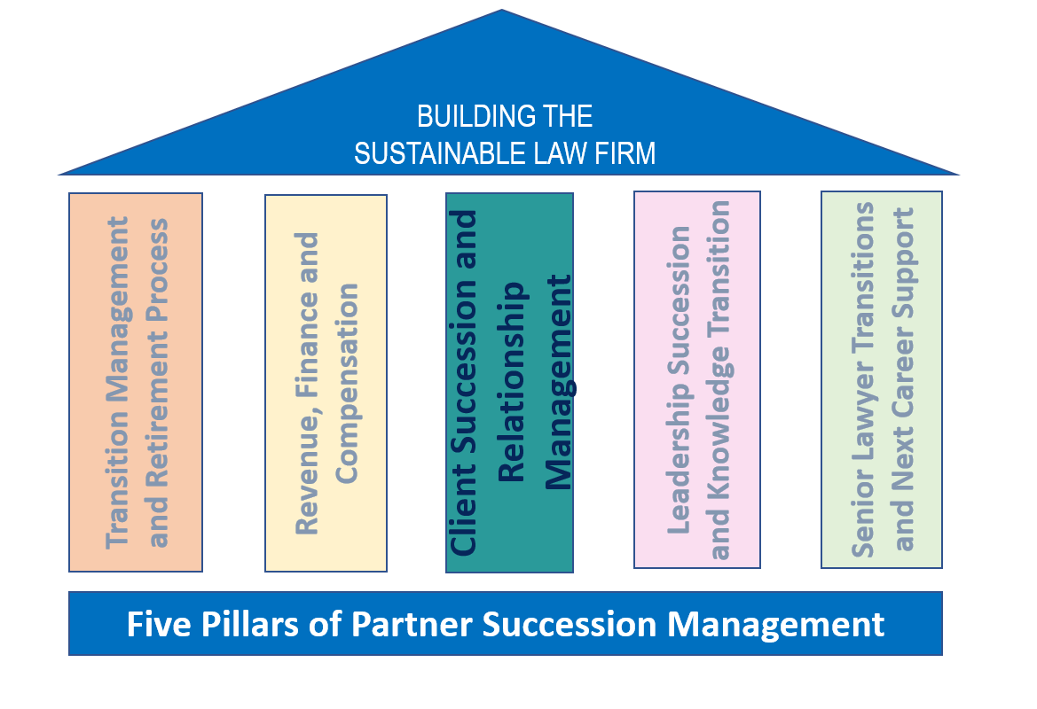 Succession Management Pillar 3 of 5 Client Succession and Transition