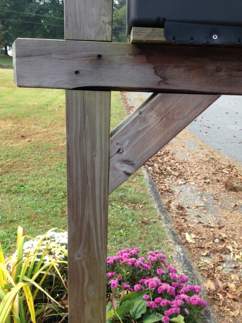 Mailbox Makeover in less than an hour {rainonatinroof.com} #mailbox #makeover #thompsons