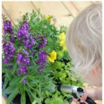 Tips & Tricks for the Perfect Container Garden