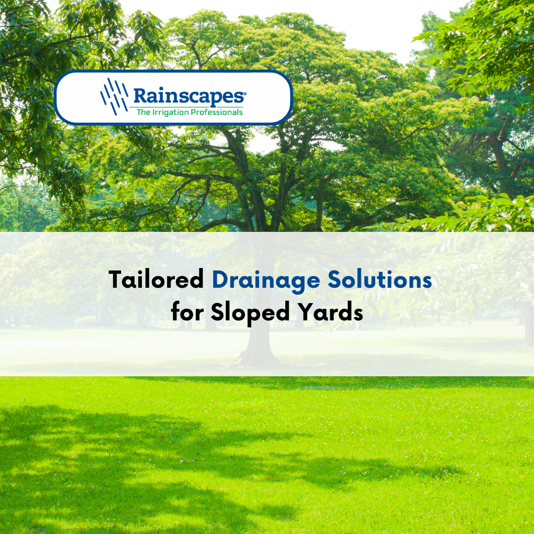 Tailored Drainage Solutions for Sloped Yards Rainscapes