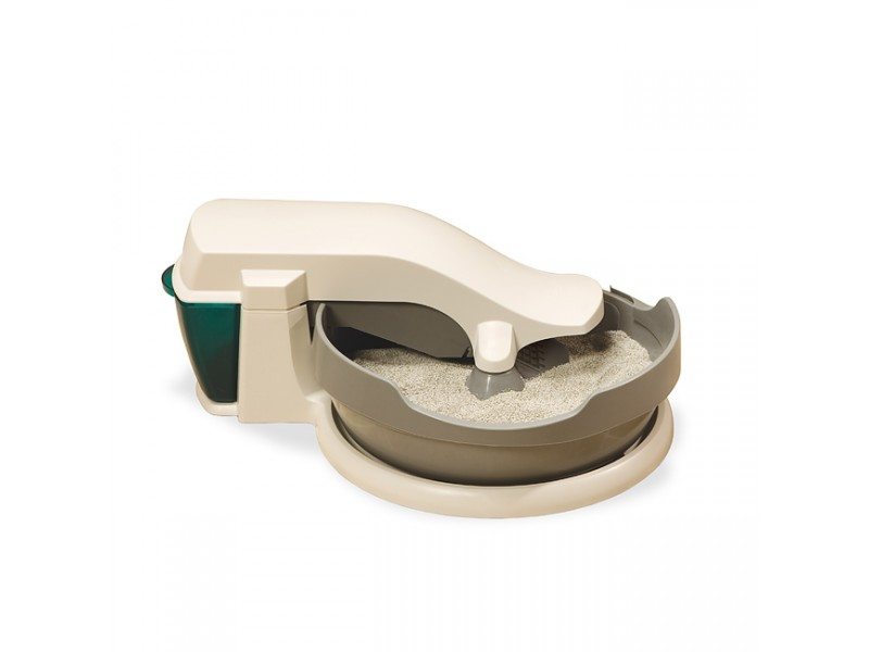 Lemon Butter Cookies Rainstorms and Love Notes