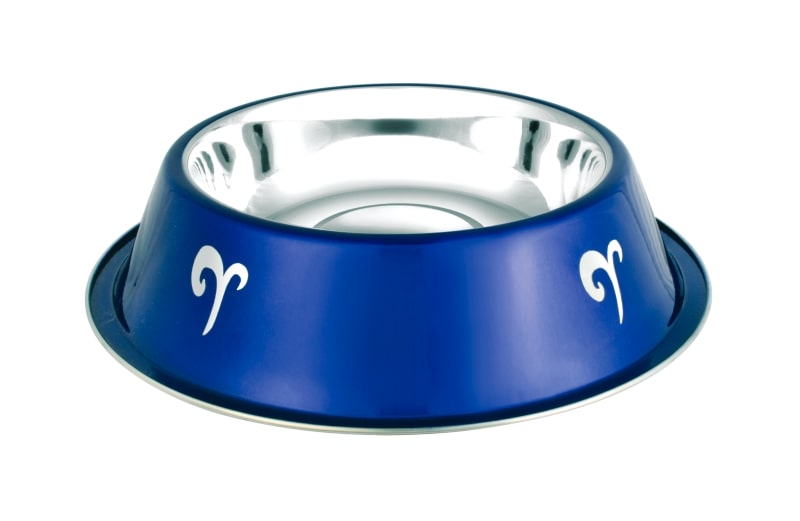 Designer Steel Pet Bowls Raintech International