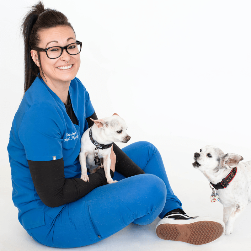 Veterinary Team in Fort Collins, CO Raintree Animal Hospital