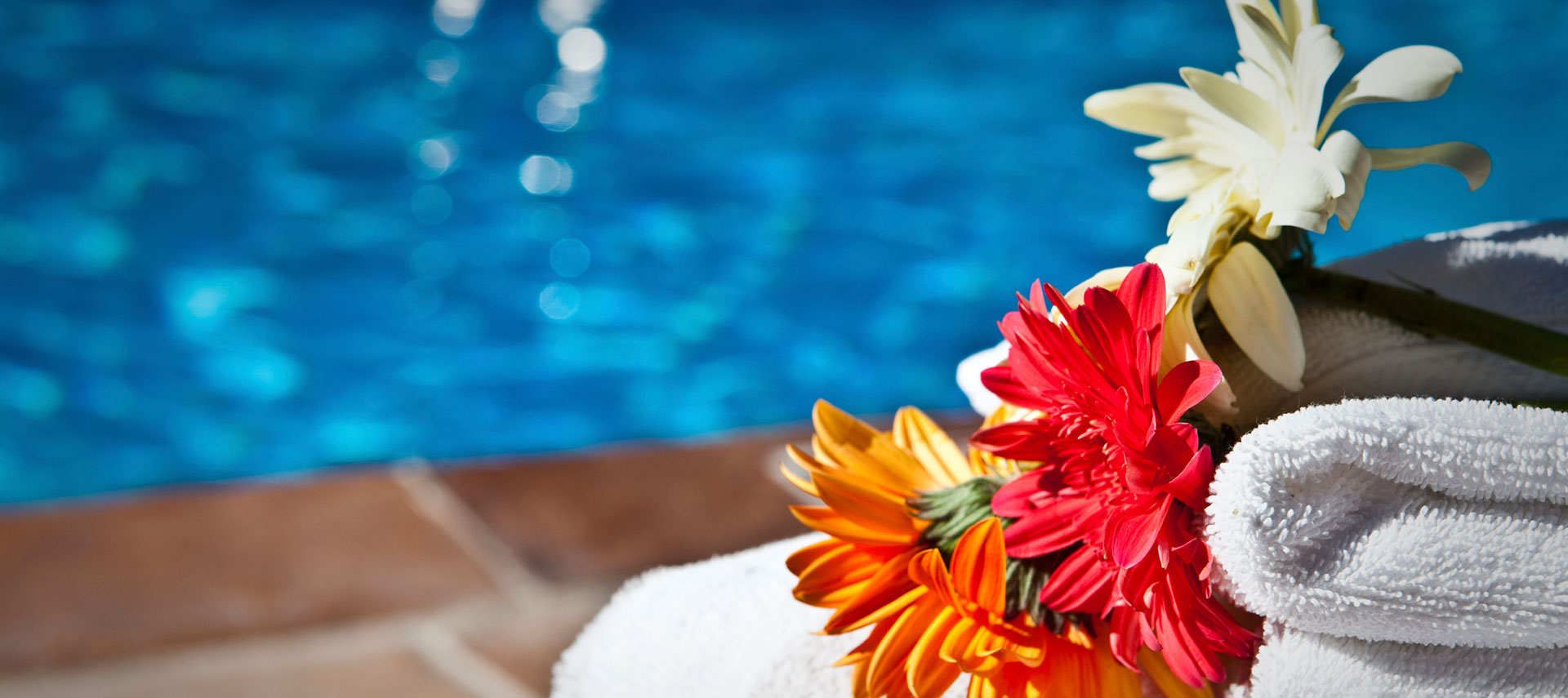 Rainy Meadows Apartments in Houston, TX