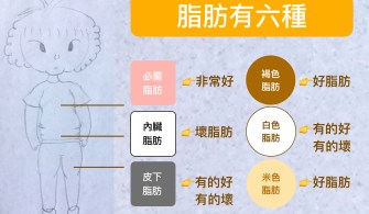 認識我們身上的脂肪