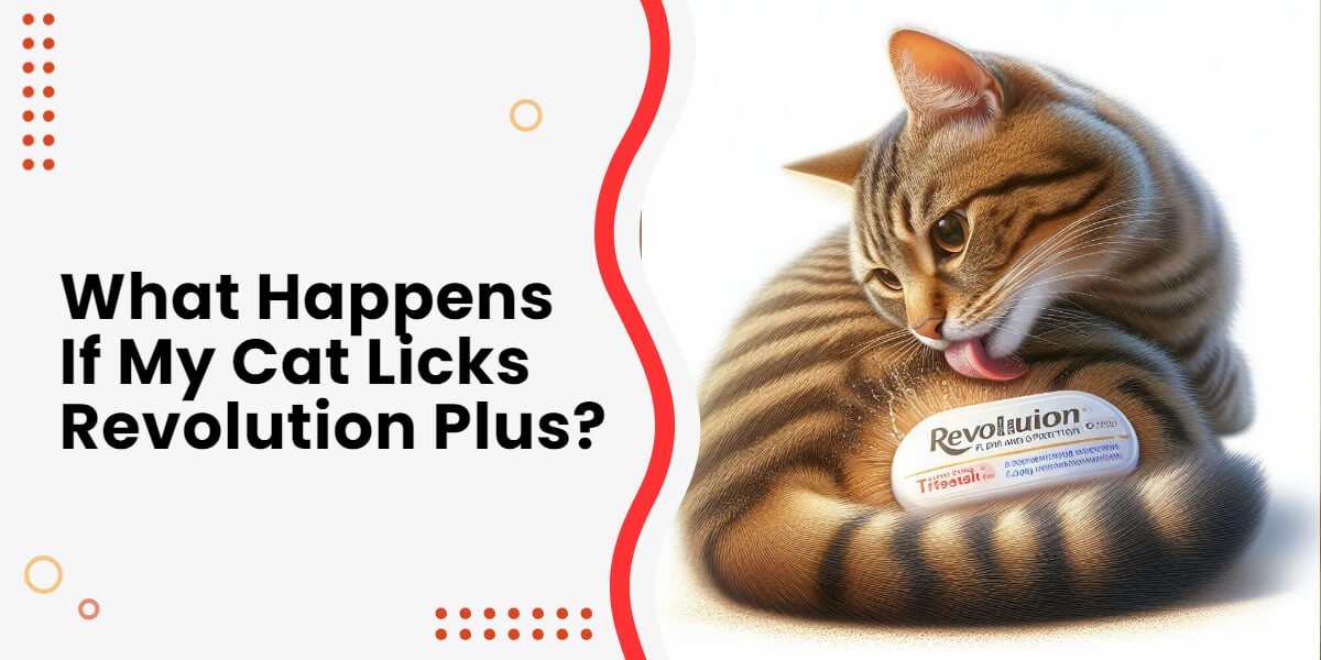 What if My Cat Licks Revolution? Help! Raise a Cat