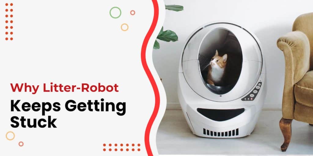 LitterRobot Keeps Getting Stuck Why? [And How to Solve]