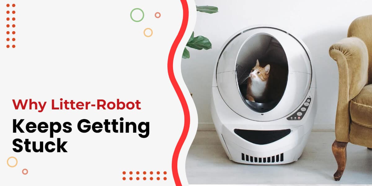 LitterRobot Keeps Getting Stuck Why? [And How to Solve]
