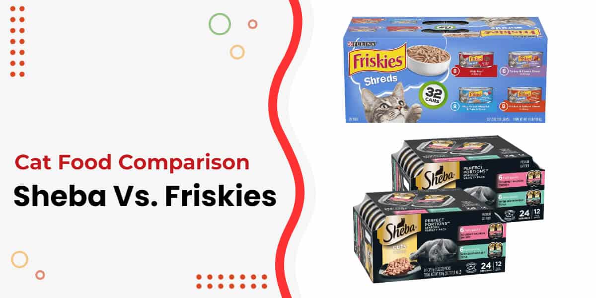 Friskies Vs. Sheba A SideBySide Comparison [2024]