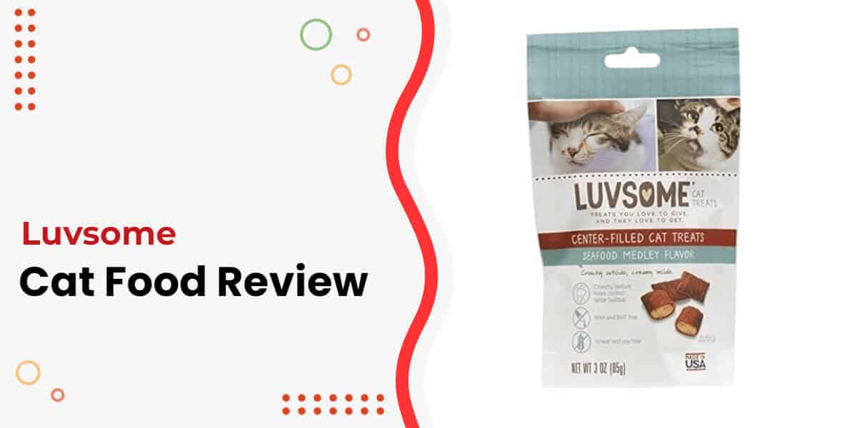 Luvsome Cat Food Review Our Rating + Alternatives [2024]