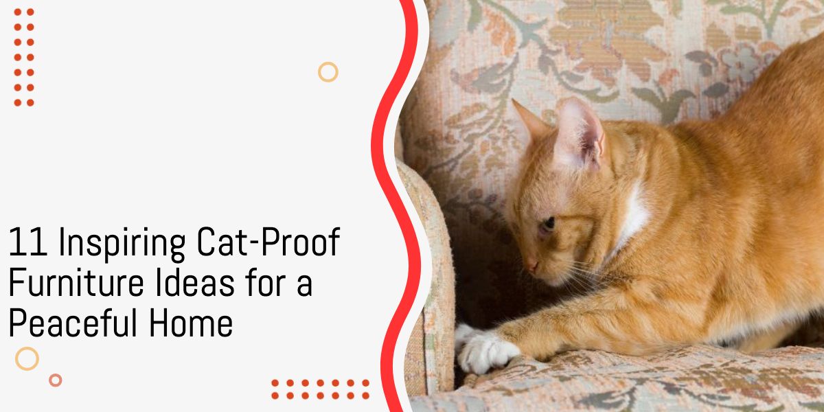 11 Inspiring CatProof Furniture Ideas for a Peaceful Home Raise a Cat