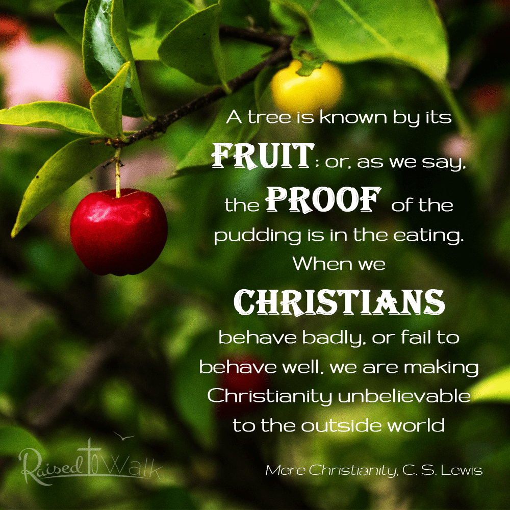 Fruit Trees Home Gardening Apple, Cherry, Pear, Plum A Tree Known By