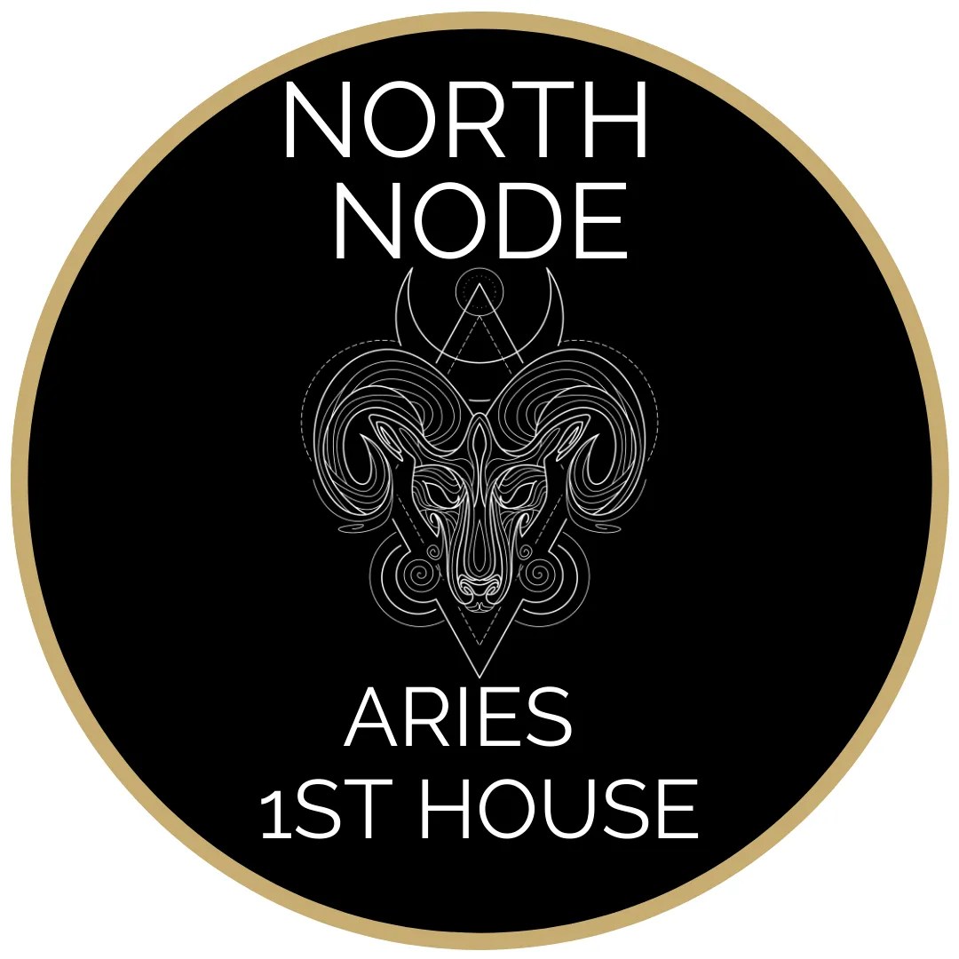 NORTH NODE ARIES / 1st HOUSE Raising Vibrations Astrology