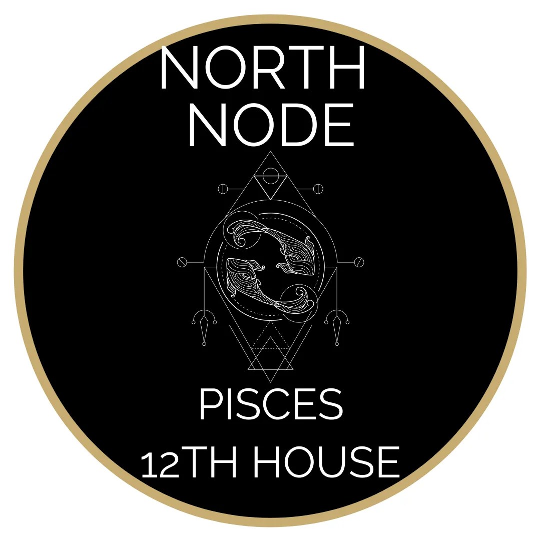 NORTH NODE PISCES / 12th HOUSE Raising Vibrations Astrology