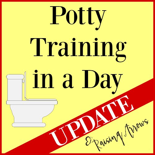 Potty Training in a Day Update