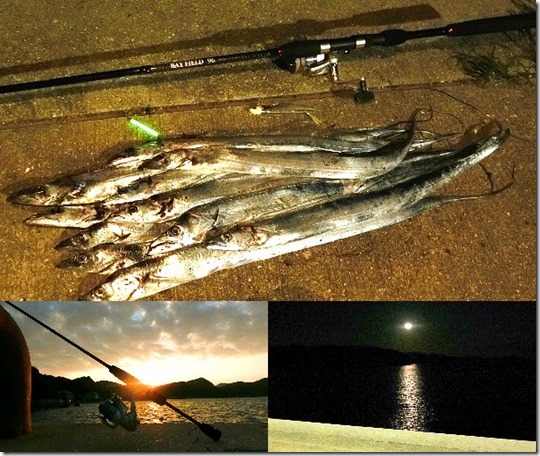 11月上旬の坊勢島でタチウオ【釣れない】から【入れ食い】となったフラップ釣法の大事なコツ ライトルアーフィッシング入門