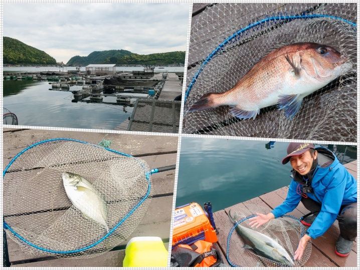 海上釣り堀フィッシングレインボーへ釣りおじさん試作ロッドテスト釣行シラサエビで青物を狙って釣る方法の紹介も ライトルアーフィッシング入門