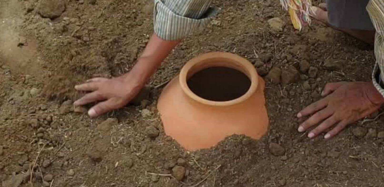 Buried Clay Pot Plantation Technique to Save Water RajRAS RAS Exam