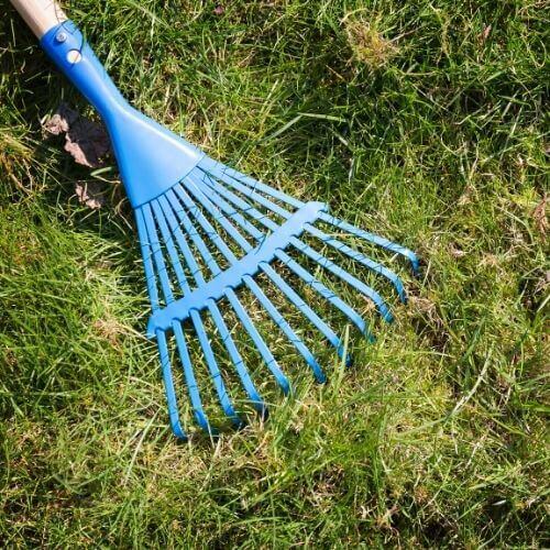 Best Rake for Pine Straw How to choose and use it? Update October 2024