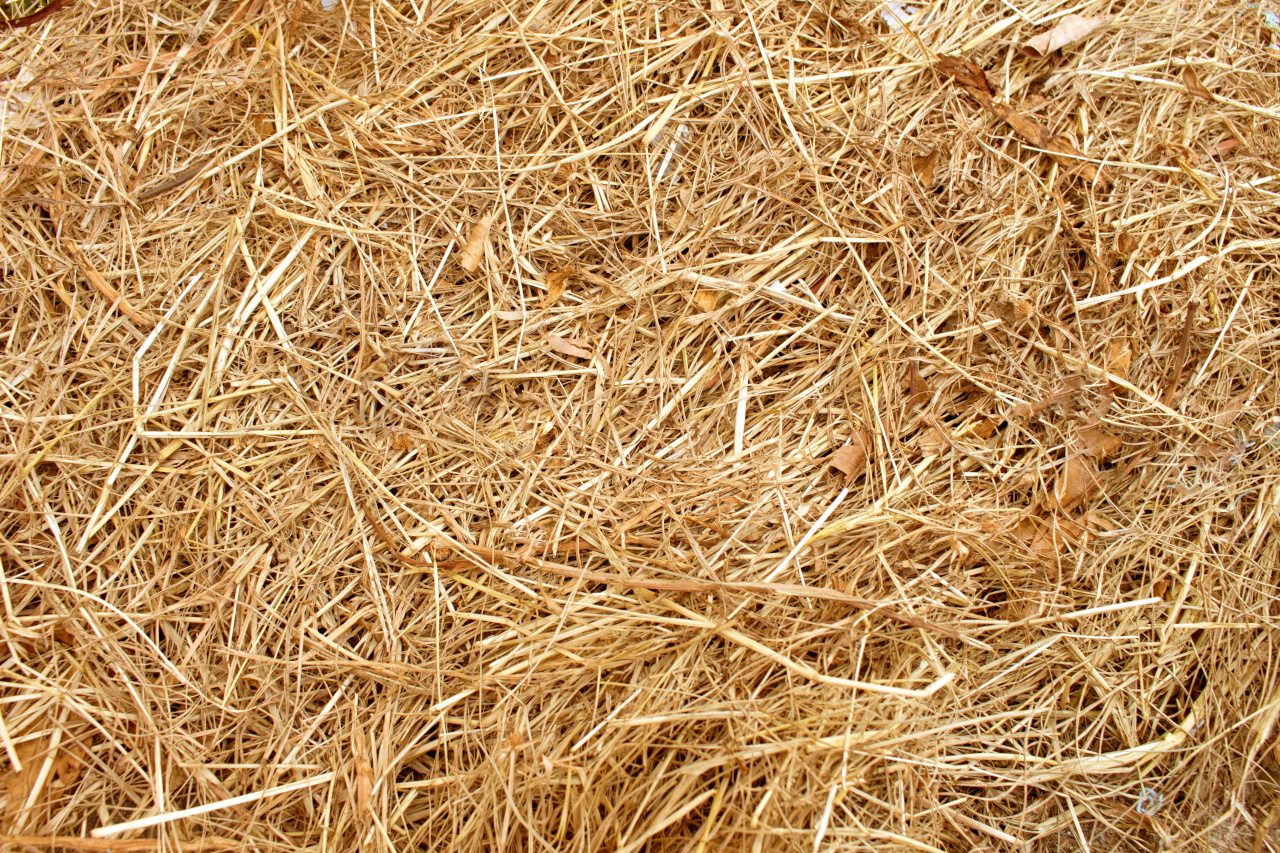 TYPES OF STRAW