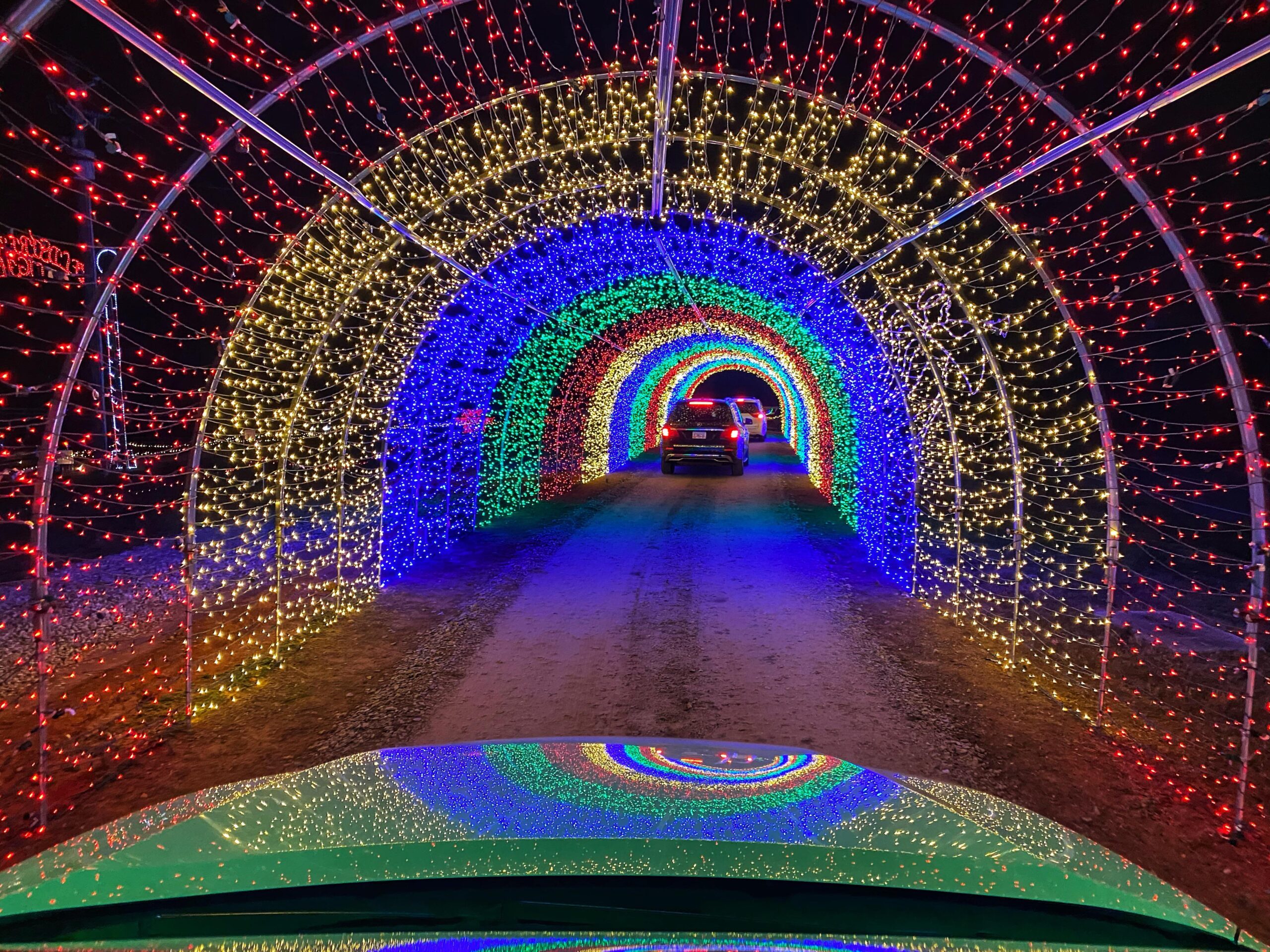 Light Up Your Night at Fieldstream Farm Raleigh Weekend