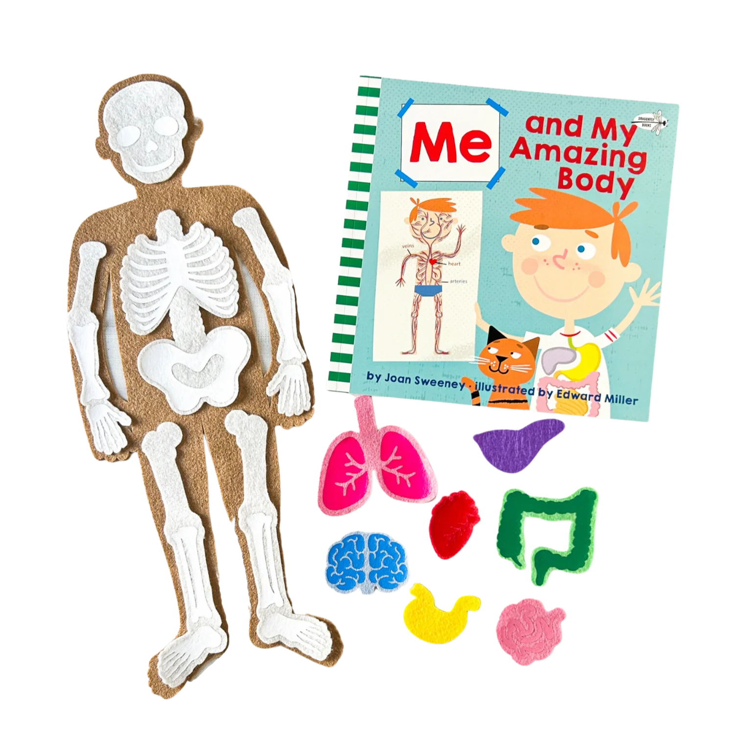 Me and My Amazing Body Rally Felt Co.