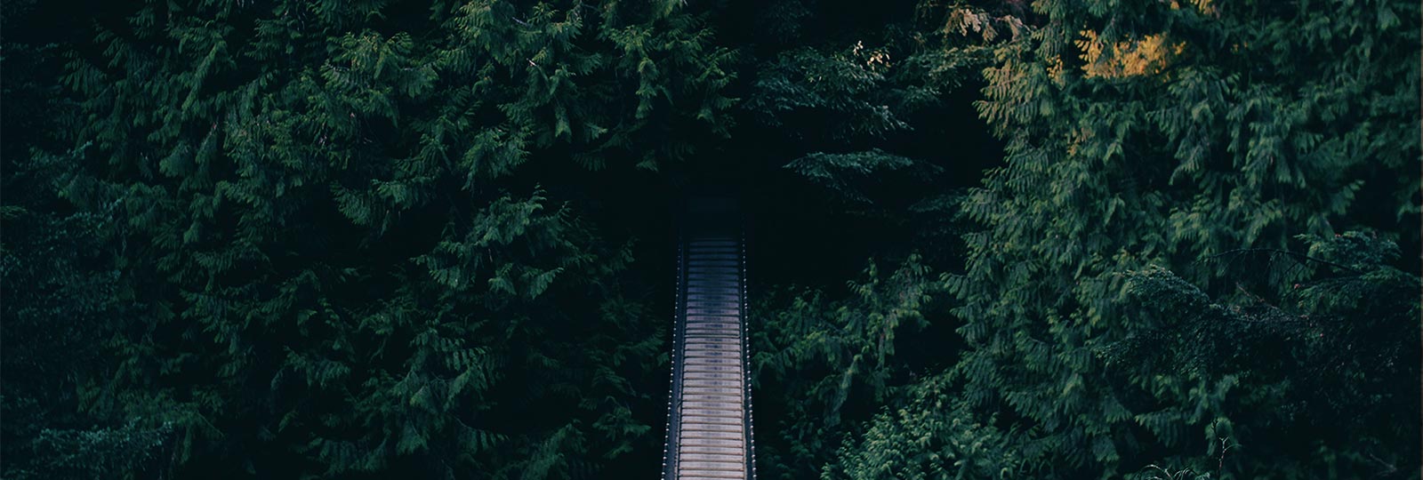 Capilano Homes For Sale Ralph Maglieri