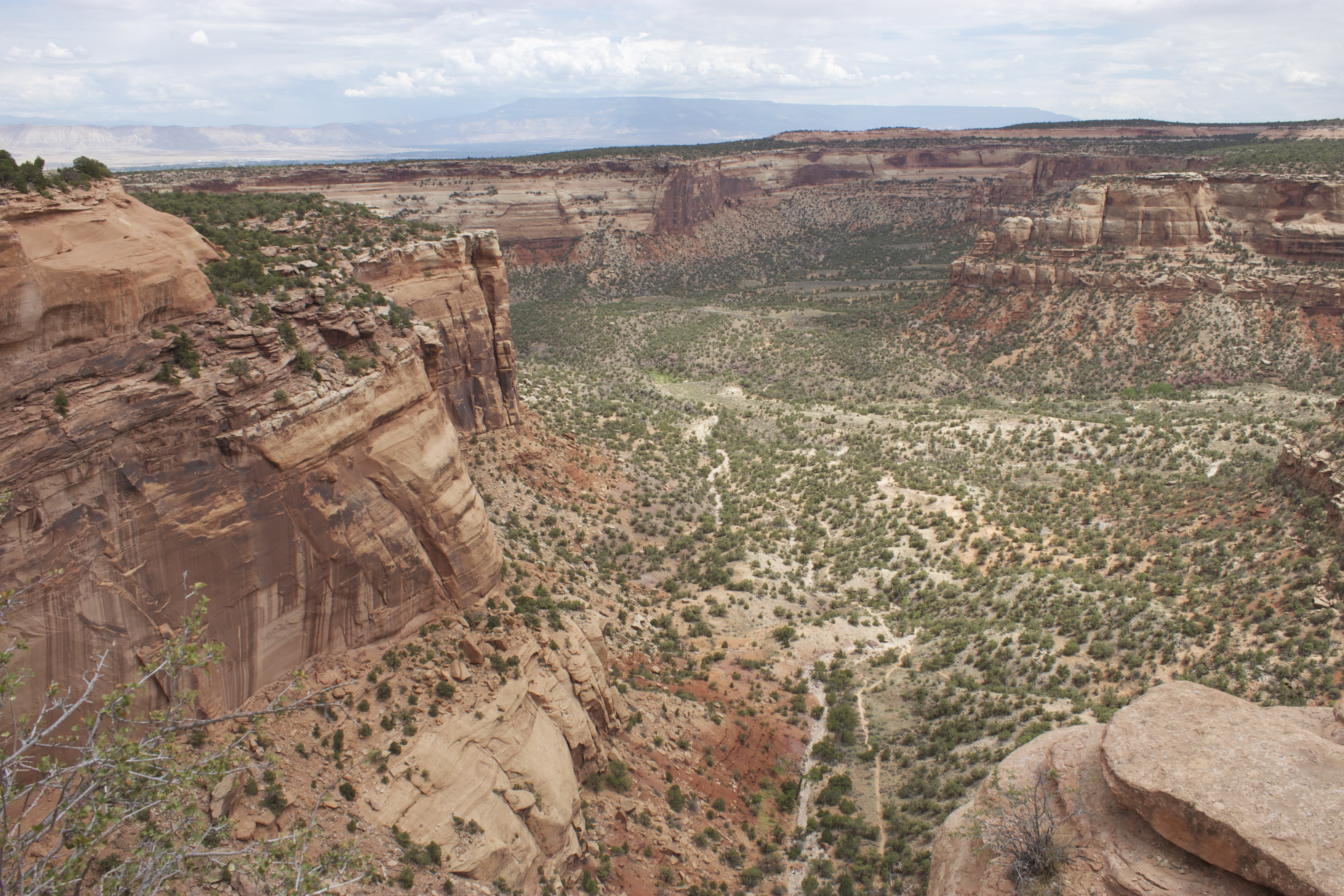 Day 14 From Richfield, UT to Montrose, CO ramblelove.