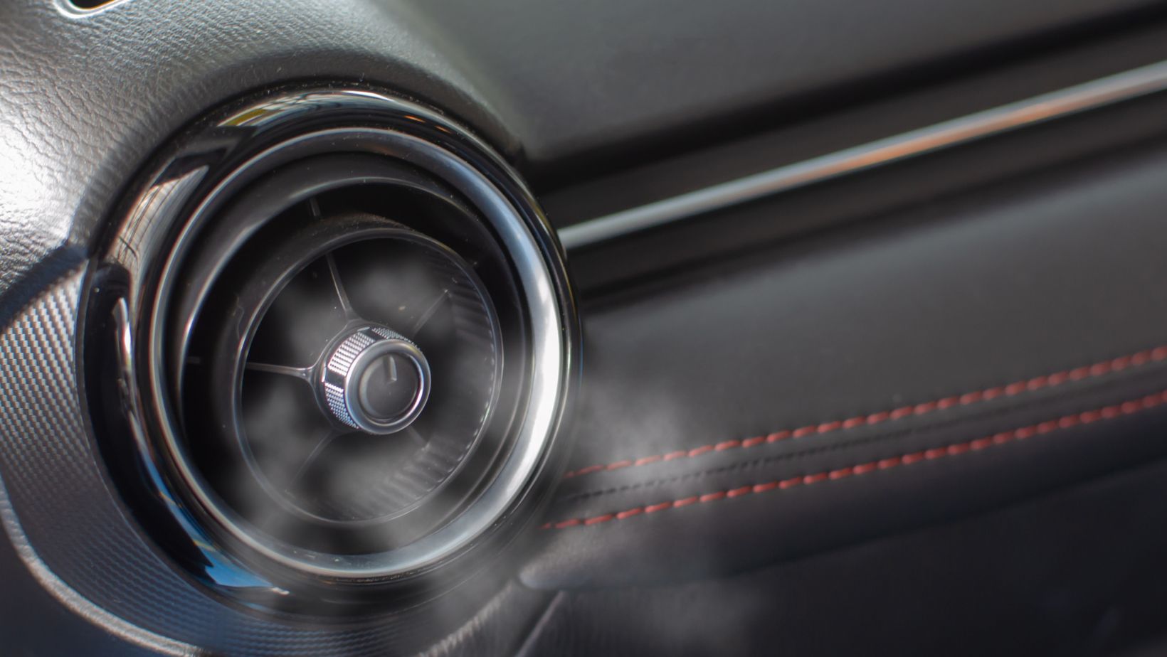 Can You Leave Flowers in a Cold Car