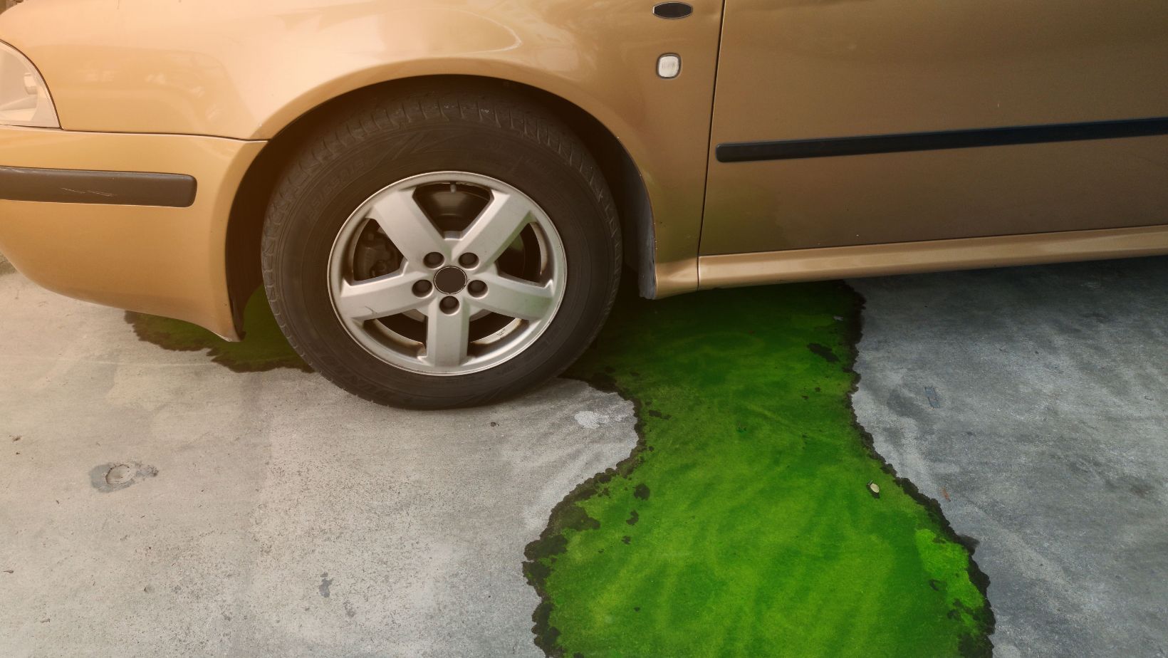 Average Vacuum Leak Car Repair Cost