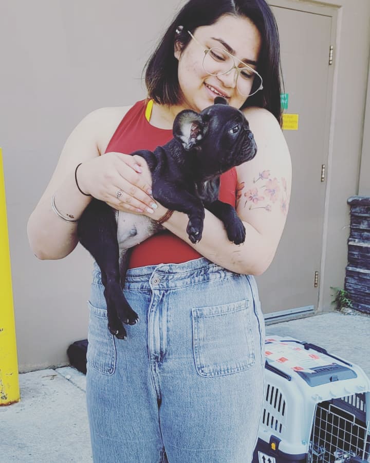 Pet Import into Canada Do I need a Customs Broker? Ramsay Logistics Ltd.