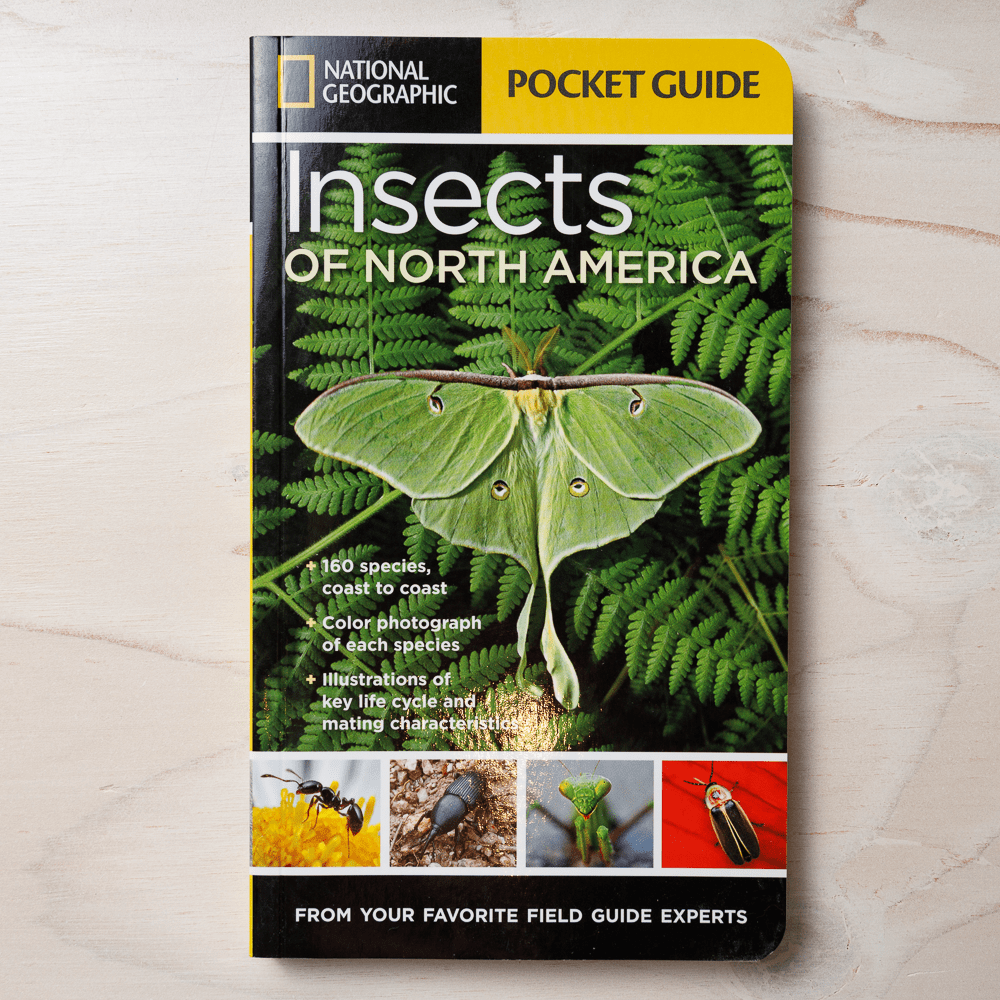 National Geographic Pocket Guide to Insects of North America RAM Shop