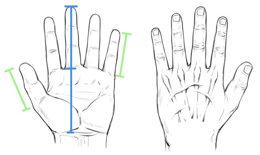 How to Draw Hands Tips and Techniques Ram Studios Comics